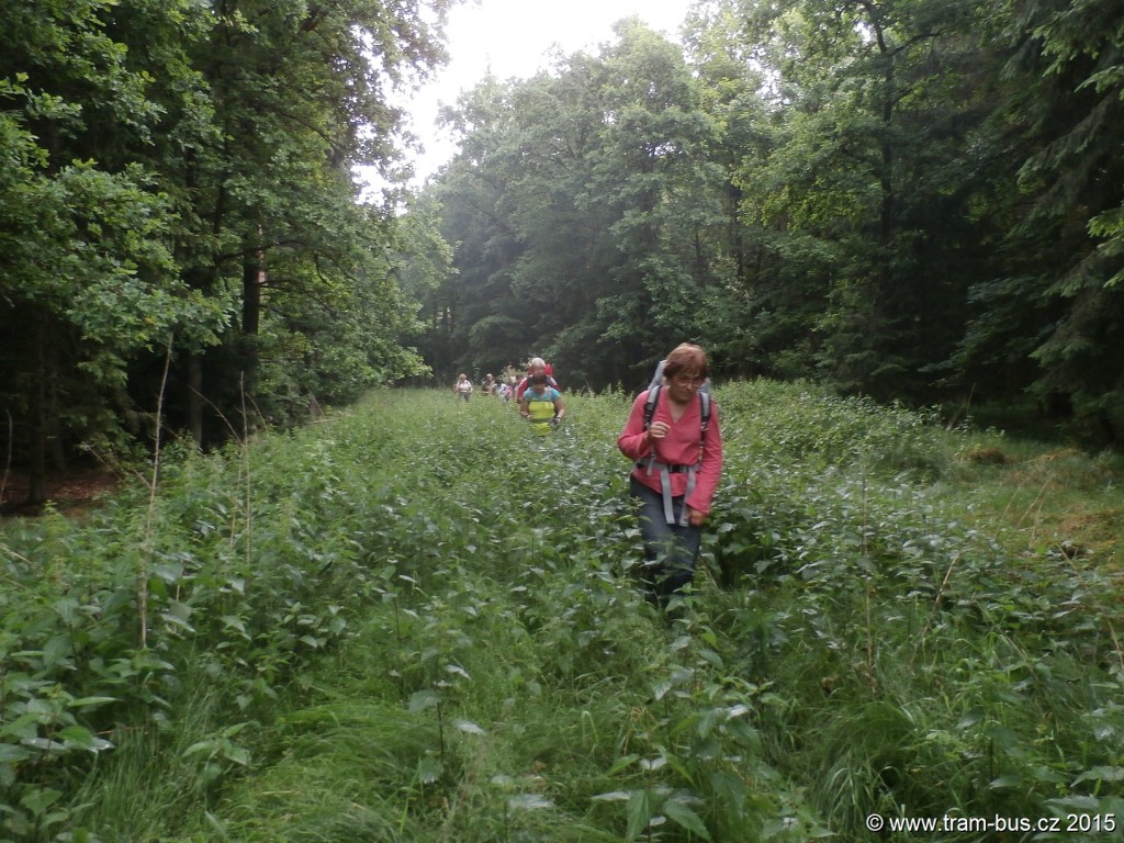 015 - pozůstatek zrušené trati Strausbergovy železnice