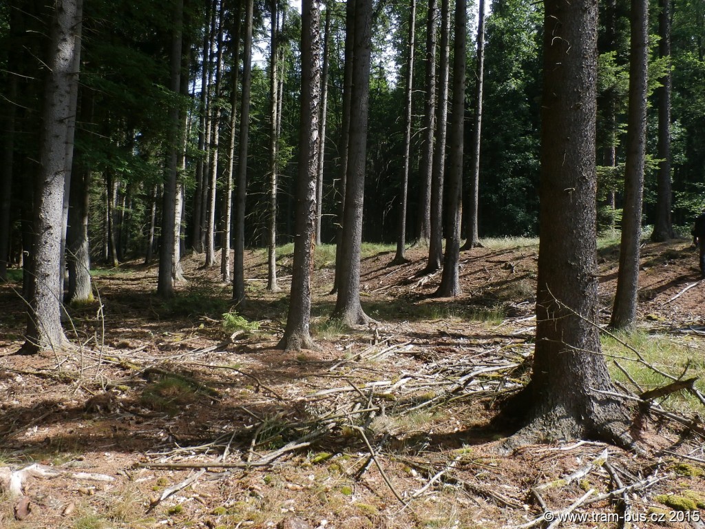 018 - pozůstatek zrušené trati Strausbergovy železnice