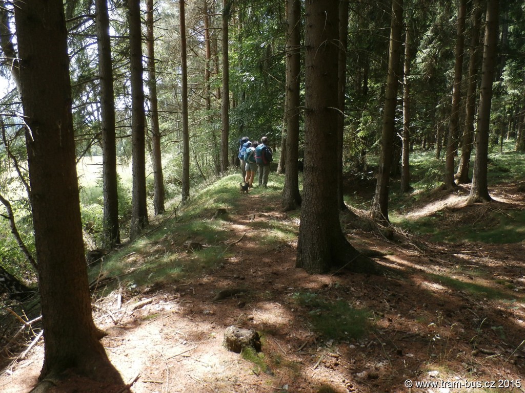 027 - pozůstatek zrušené trati Strausbergovy železnice