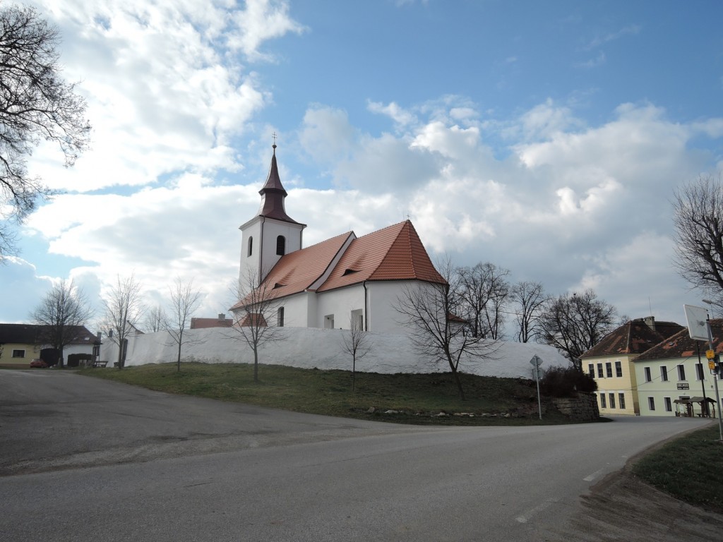 DSCN4394