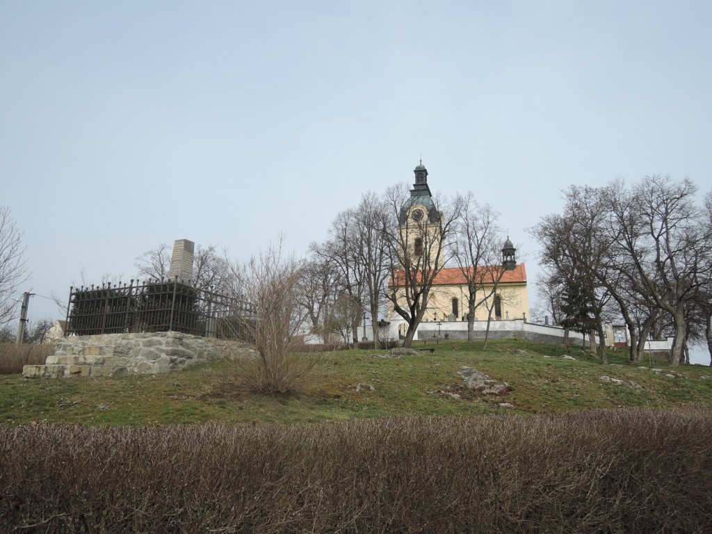 DSCN4422