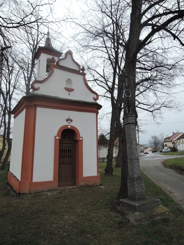 DSCN4453