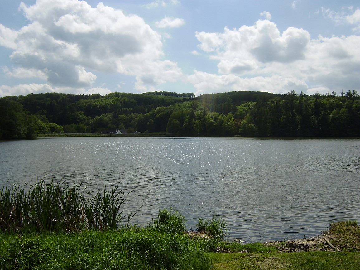Jevanský rybník